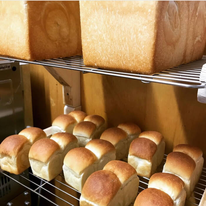 フォトギャラリー5