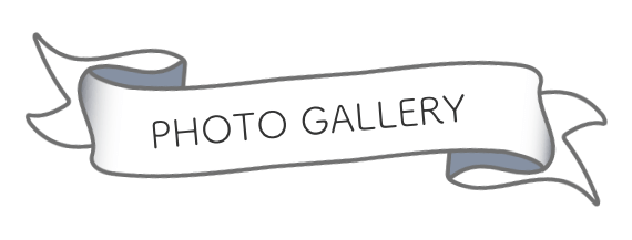 フォトギャラリー